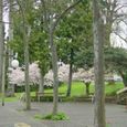 Seattle0102